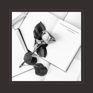 免费欧美性爱视频
